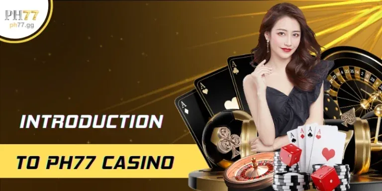 Hướng dẫn đăng nhập 5VIP