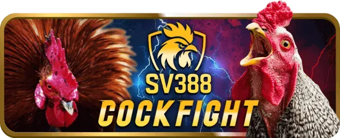 Ưu đãi chào mừng cho thành viên mới 5vip